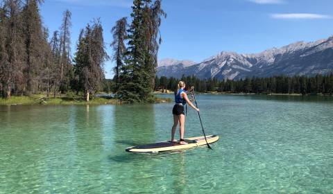 Wellness Activities